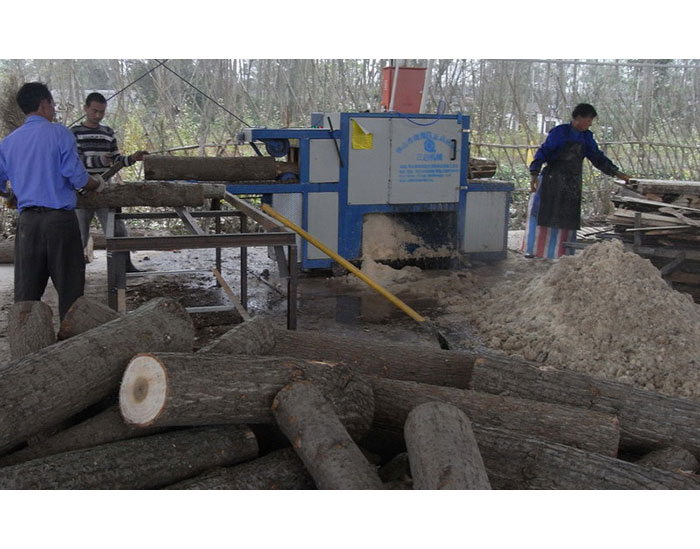 圓木多片鋸-安徽合肥舒城加工現場