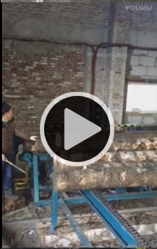 方木多片鋸，全自動圓木方木生產流水線加工