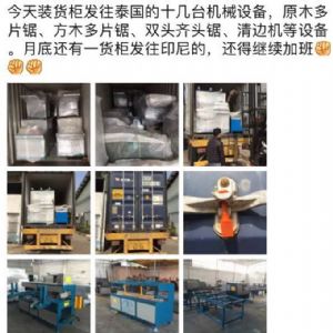 泰國東部加工橡膠木生產設備，圓木多片鋸生產線