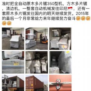 2017年發貨國外rn400-250型原木多片鋸生產線 ，鋸木機生產線