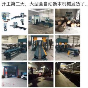 2017年發貨國內250型原木斷木機生產線 圓木截木機，鋸木機生