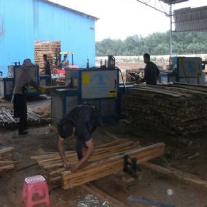 海南島-圓木-方木-多片鋸加工現場