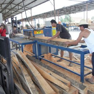 天津市-150方木多片鋸加工現場